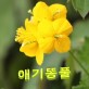 원정대 마크